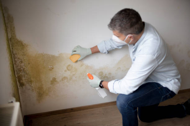 Mold Remediation for Vacation Homes in Deer Lodge, MT